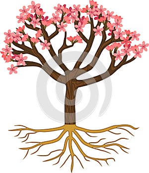 Cartoon flowering peach tree with pink flowers and root system