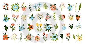 Cartoon flowers. Spring blooming plants, cute floral elements, different types inflorescences with leaves, decorative
