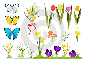 Cartoon flowers. Spring plants gardening set chamomile and tulips grass vector set