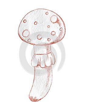 Cartoon fly agaric, poisonous mushroom, vintage illustration, hand-drawn, sketch, line