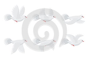 Cartoon flying dove animation sprite isolated on white background