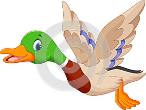 Cartoon flying duck