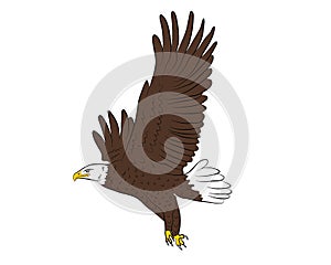 Cartoon flying wild eagle in isolate on a white background