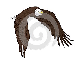 Cartoon flying wild eagle in isolate on a white background.