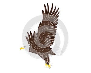 Cartoon flying wild eagle in isolate on a white background.