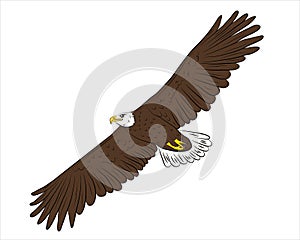 Cartoon flying wild eagle in isolate on a white background.