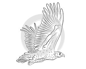 Cartoon flying wild eagle in isolate on a white background.