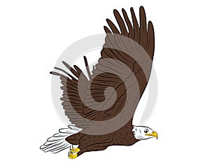 Cartoon flying wild eagle in isolate on a white background.