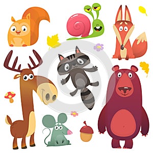Cartoon forest animal characters set
