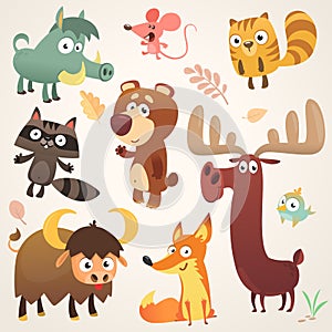 Cartoon forest animal characters. Vector illustration. Big set of cartoon forest animals illustration photo