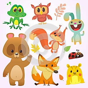 Cartoon forest animal characters. Vector illustration. Big set of cartoon woodland animals illustration