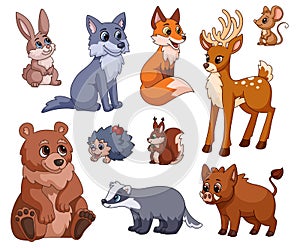 Cartoon forest animal. Nature animals, woodland cute squirrel, wolf, bear. Red fox and mouse for children print or