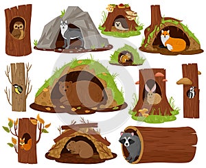 Cartoon forest animals inside hollow, burrow and nest. Woodland fauna in burrows and tree hollows vector illustration photo