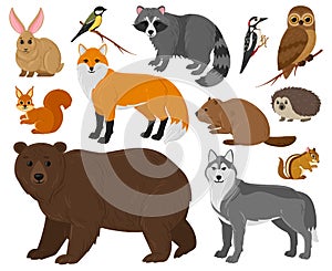 Cartoon forest animals, owl, bear, fox, raccoon and squirrel. Woodland wild animals and birds isolated vector