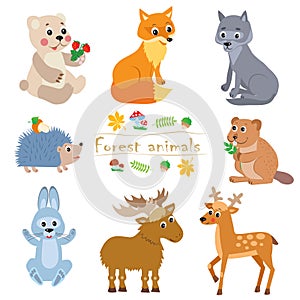Cartoon Forest Animals Pack. Cute Vector Set.