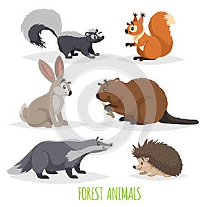 Cartoon forest animals set. Skunk, hedgehog, hare, squirrel, badger and beaver. Funny comic creature collection.