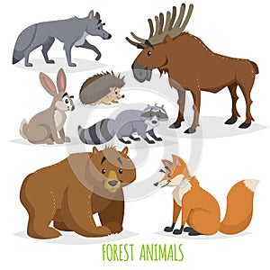 Cartoon forest animals set. Wolf, hedgehog, moose, hare, raccoon, bear and fox. Funny comic creature collection.