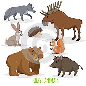 Cartoon forest animals set. Wolf, hedgehog, moose, hare, squirrel, bear and wild boar. Funny comic creature collection.