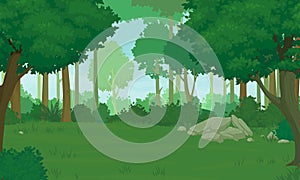 Cartoon forest landscape. Deciduous trees with lush foliage, thick shrubs, rocks and green grass. Summer or spring day