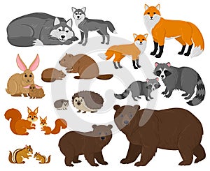 Cartoon forest woodland animals mothers with cute babies. Forest wild animals parent, woods fauna mothers and children