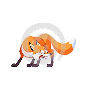 Cartoon fox afraid. Frightened, confused, embarrassed, puzzled, bewildered, discouraged, cowardly, terrified, emotions