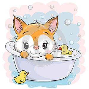 Cartoon Fox in the bathroom photo