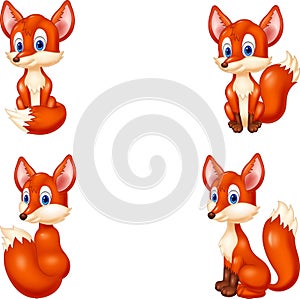 Cartoon fox collection set