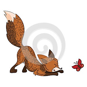 Cartoon fox hunts a butterfly. A stylized fox is played with an insect. Vector illustration for children.