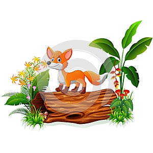 Cartoon fox on tree trunk