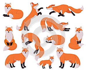 Cartoon foxes, forest red cute fox character. Woodland animal, forest wildlife predator sleeping, running, jumping