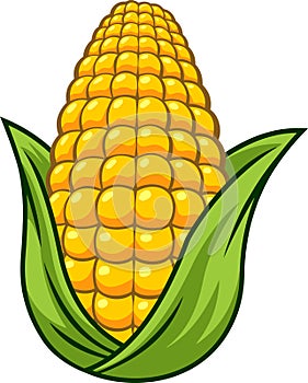 Cartoon Fresh Corn Cob