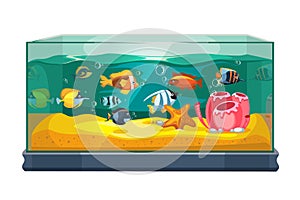 Cartoon freshwater fishes in tank aquarium vector illustration