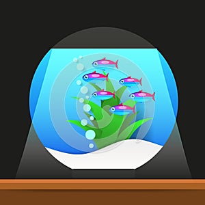 Cartoon Freshwater Fishes In Tank Aquarium Vector Illustration. Exotic Cartoon Fish In Aquarium.