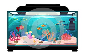 Cartoon freshwater fishes in tank aquarium vector illustration, exotic cartoon fish in aquarium illustration