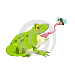 Cartoon frog catching a fly