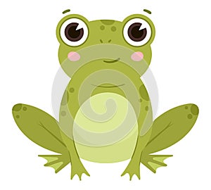 Cartoon frog, cute water animals, green amphibia