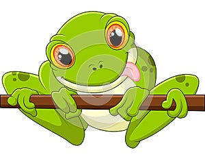 Cartoon frog holding tree