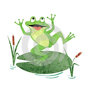 Cartoon Frog on lily pad. Vector watercolor illustration