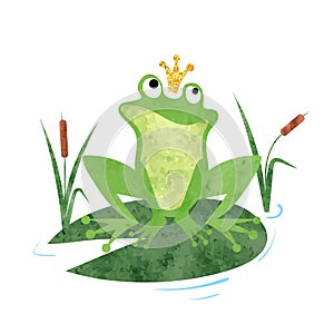 Cartoon Frog prince vector watercolor illustration