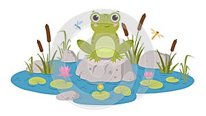 Cartoon frog sitting in pond, cute amphibia. Green toad in natural habitat, froggy water animal in pond with water lilies and