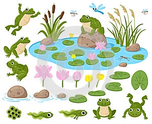Cartoon frogs. Cute amphibian mascots, frogspawn, tadpoles, green frogs, water lilies, summer pond and insects vector