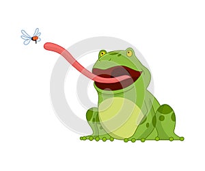 Cartoon frogs Funny cartoon frog. Little amphibia character sitting on white background. Adorable froggy catching fly