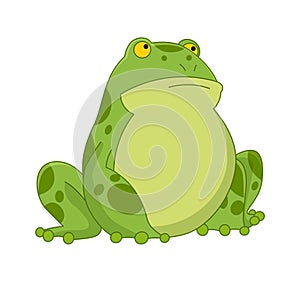 Cartoon frogs Funny cartoon frog. Little amphibia character sitting on white background. Adorable froggy watching