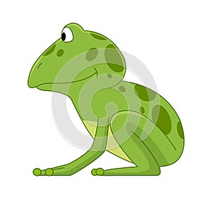 Cartoon frogs Funny cartoon frog. Little amphibia character standing and smiling on white background. Adorable froggy