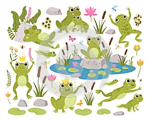 Diseno de pintura ranas verde sapos anfibio pájaros carpinteros en. lindo ranas en varios representa Agua los animales estanque un piso 