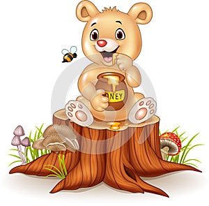 Cartoon funny baby bear holding honey pot on tree stump