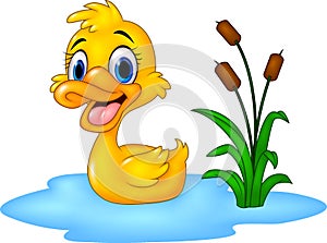 Cartoon funny baby duck floats on water