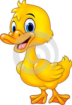 Cartoon funny baby duck posing isolated on white background