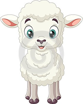 Cartoon funny baby lamb on white background