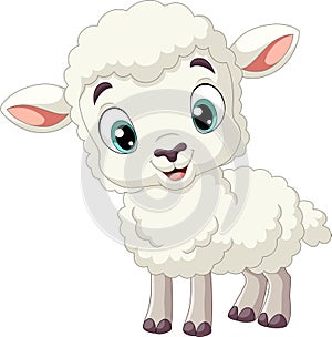 Cartoon funny baby lamb on white background